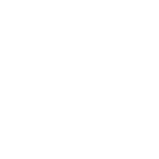 logo_DM_white