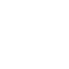 logo_bg